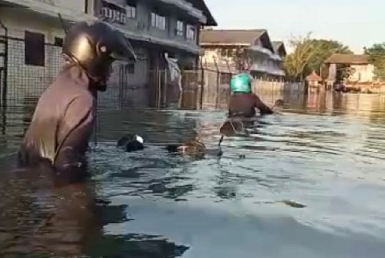Banjir Rob Semarang dan Surabaya Punya Penyebanya Sama, Kata BMKG - GenPI.co JATIM