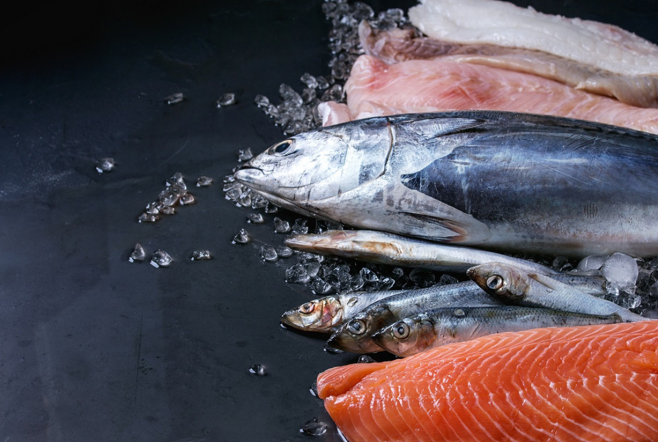 3 Cara Memilih Ikan Segar, Simak Baik-Baik - GenPI.co JATIM