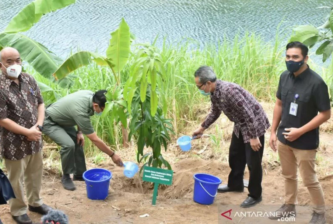 Pemkab Bantul Dorong Pengembangan Agroforestry - GenPI.co JOGJA