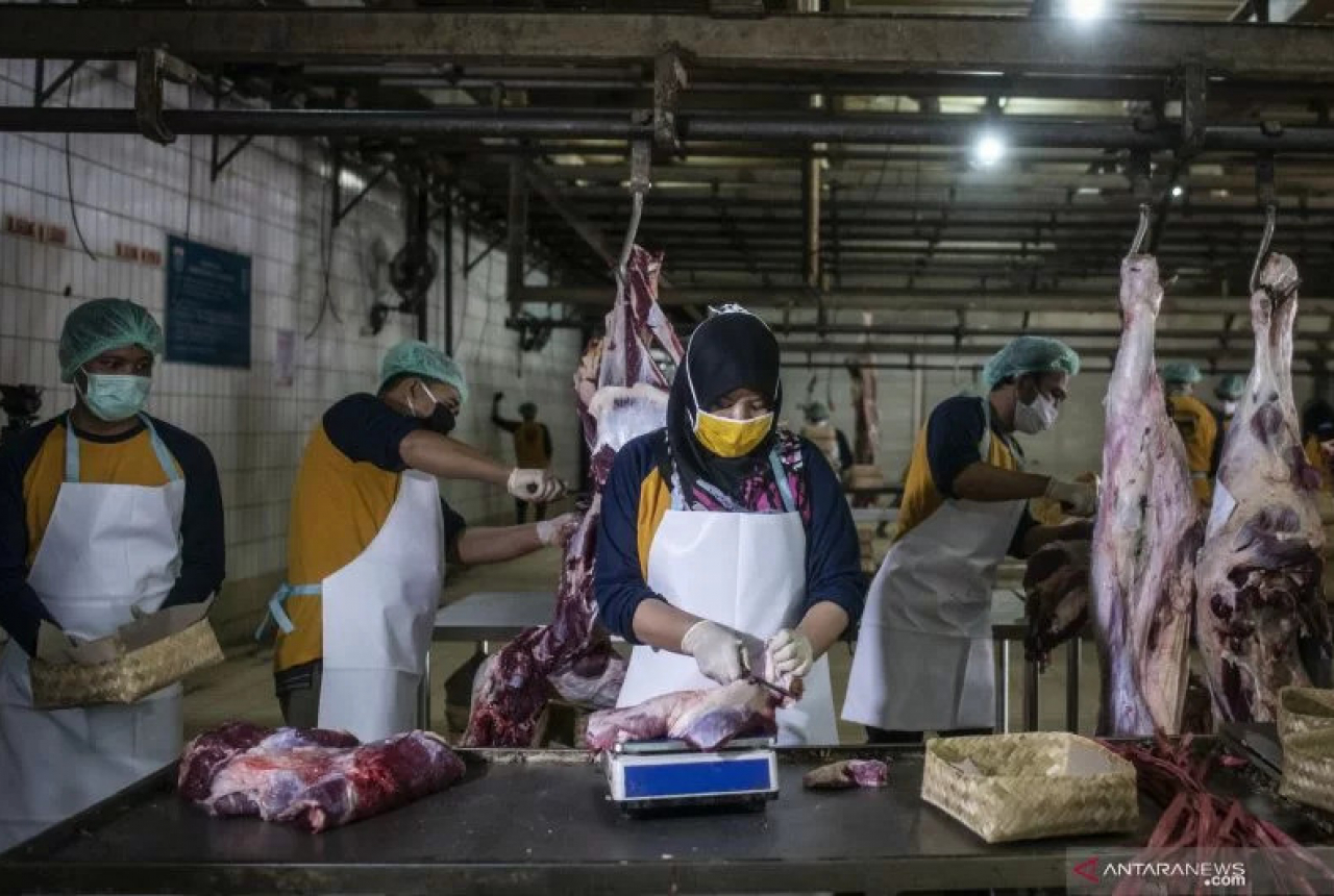 Kementan Serukan Peternak Berinovasi untuk Stop Impor Daging Sapi - GenPI.co JOGJA