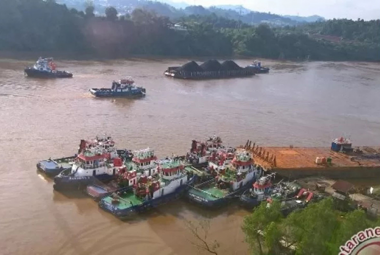 Misteri Sungai Mahakam: Ular Raksasa Bikin Merinding - GenPI.co KALTIM