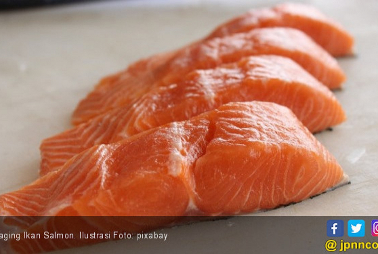 Ini Manfaat Ikan Salmon untuk Kesehatan Kulit - GenPI.co NTB