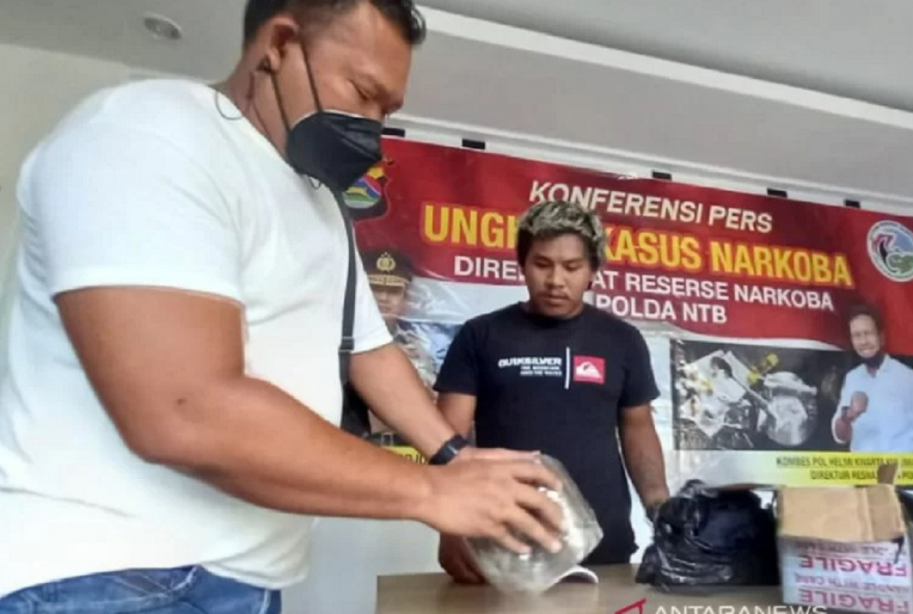 Polda NTB Gagalkan Peredaran 2 Kilogram Ganja Asal Aceh, Top! - GenPI.co NTB
