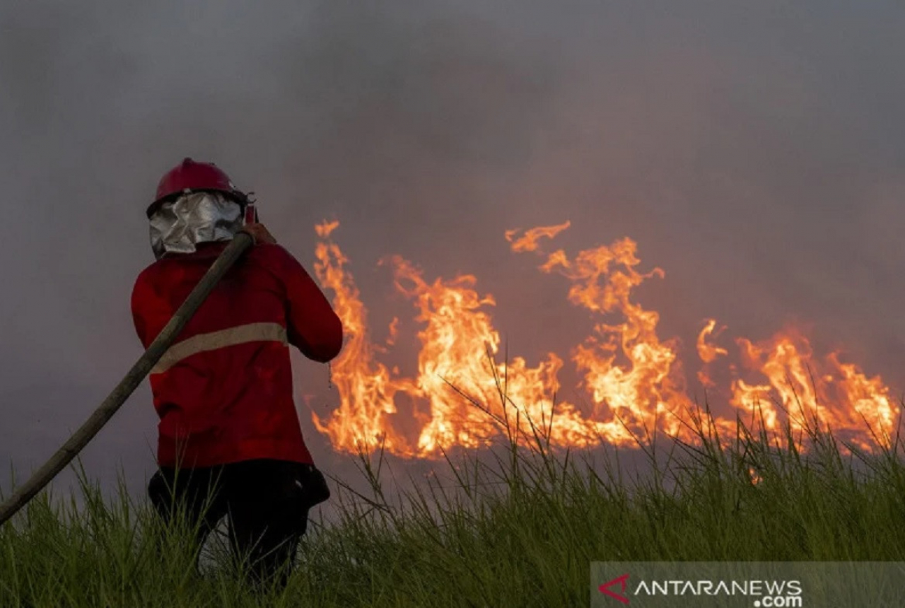 Waduh, Area Kebakaran Lahan di NTB Meluas - GenPI.co NTB