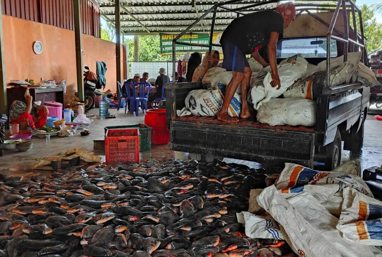 Pemkab Lobar Maksimalkan Potensi Ikan Bawal - GenPI.co NTB