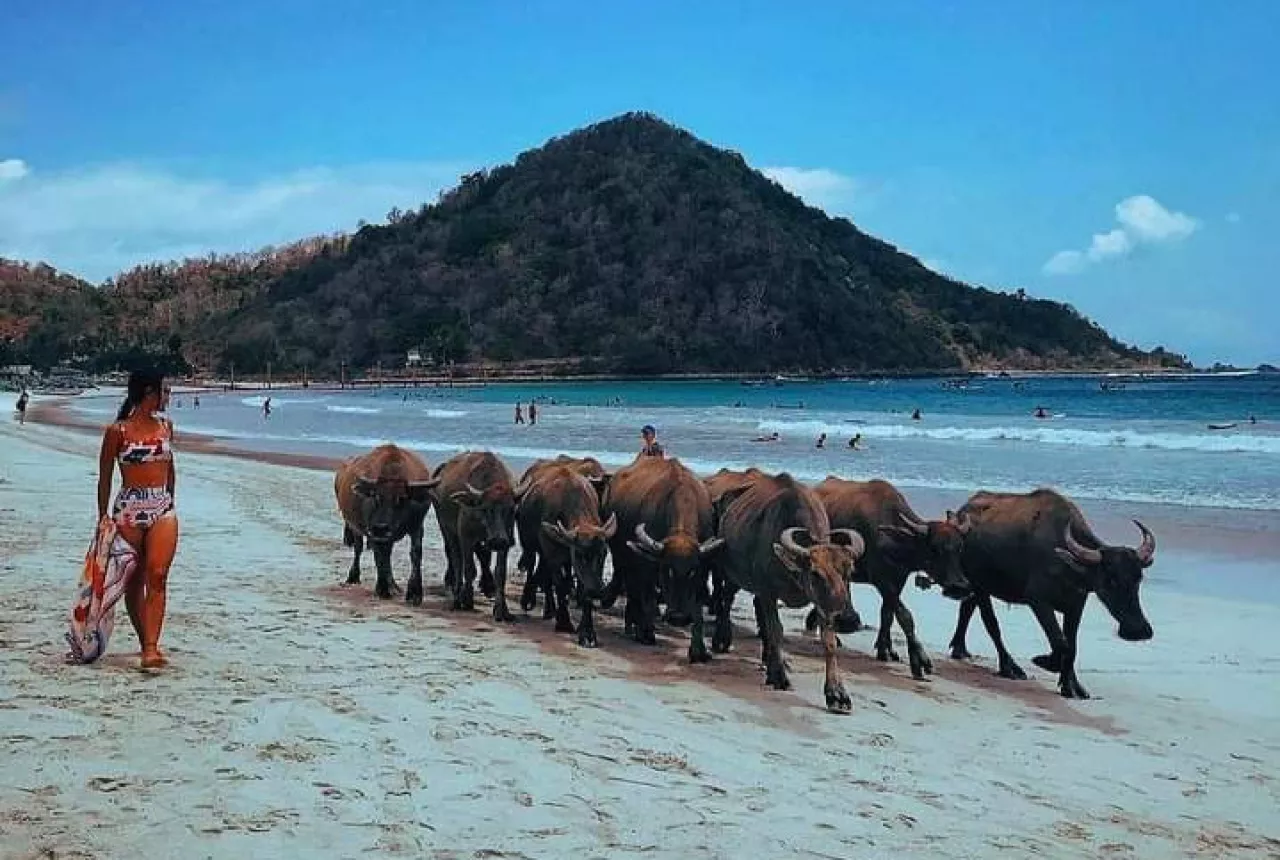 Saking Indahnya, Pantai Ini Digemari Wisatawan - GenPI.co NTB