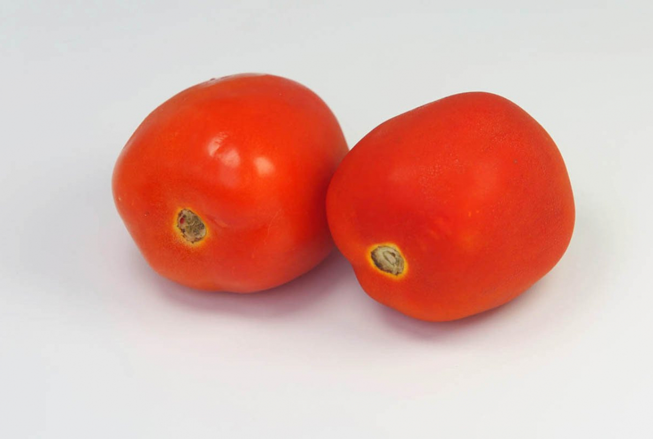 Ini Manfaat Tomat untuk Kulit Wajah - GenPI.co NTB