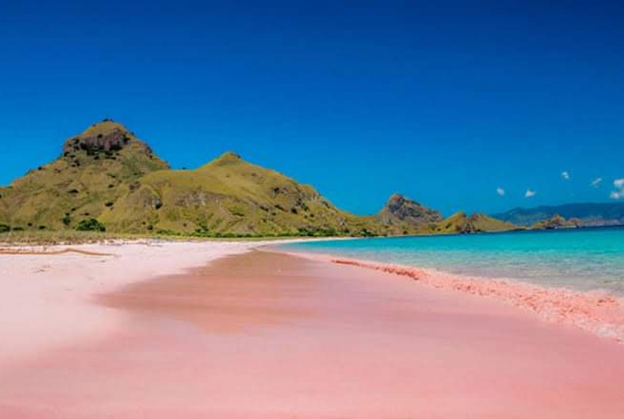 Menyaksikan Pantai Pink di Desa Sekaroh - GenPI.co NTB