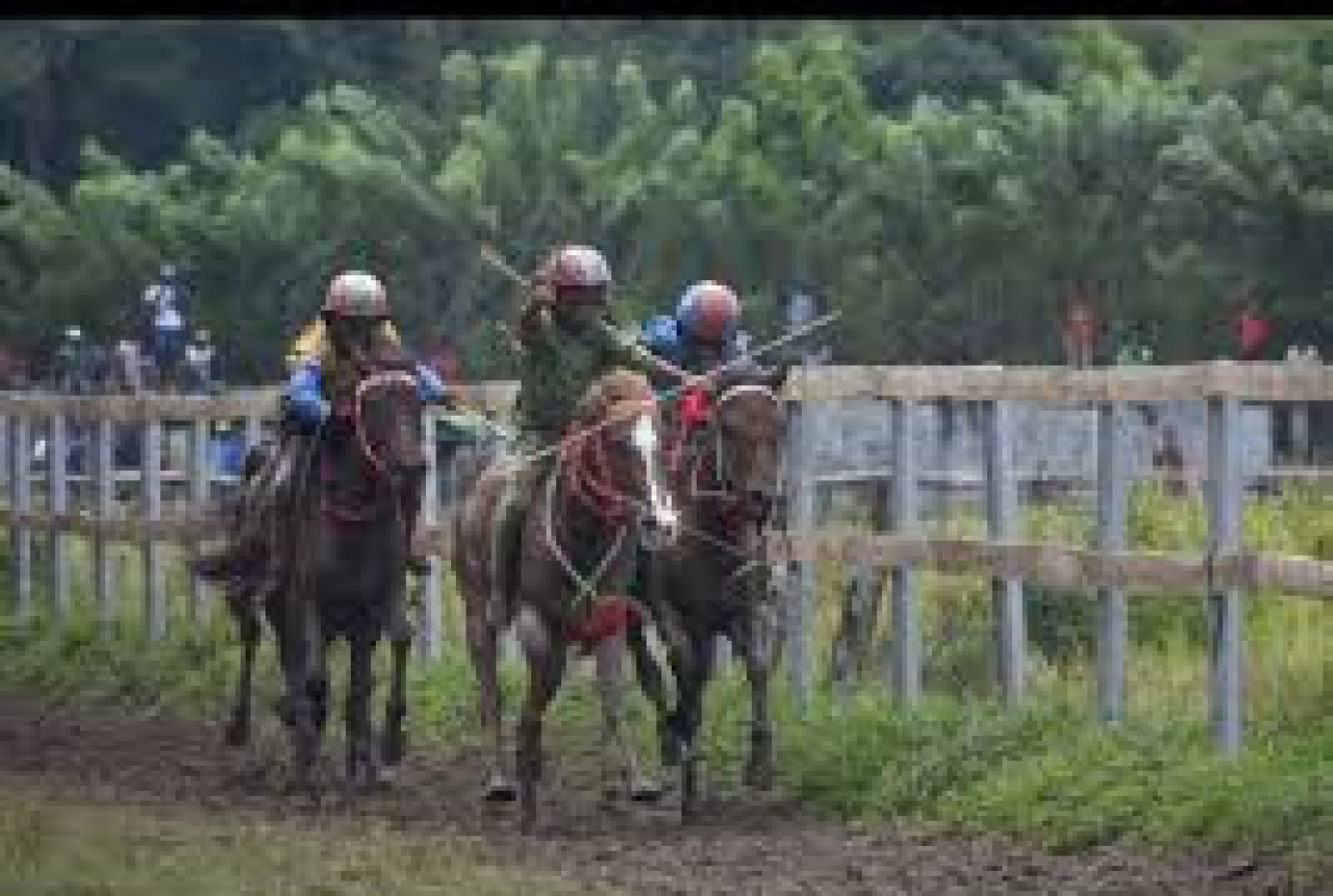 Tradisi Pacuan Kuda dengan Joki Cilik di Desa Penyaring - GenPI.co NTB