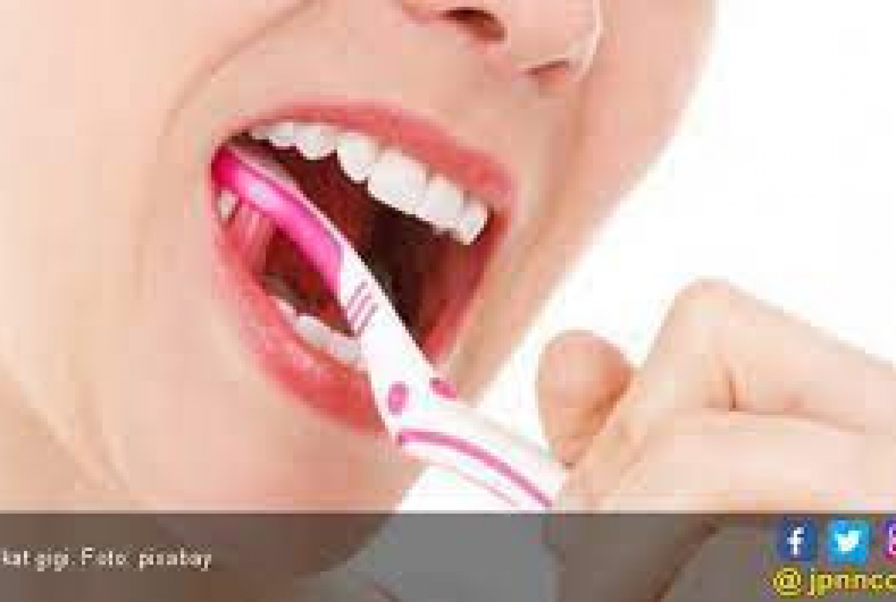 5 Langkah untuk Menjaga Gigi Tetap Sehat - GenPI.co NTB