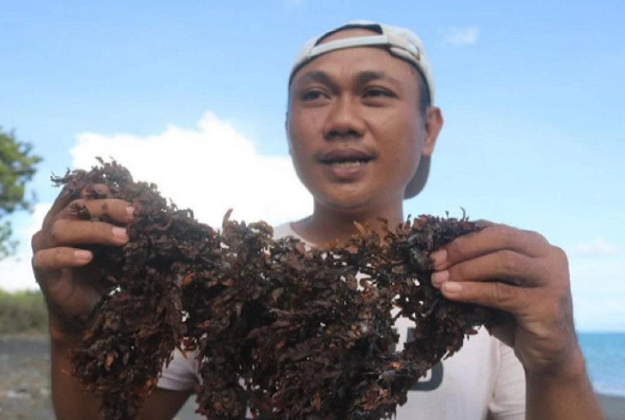 Pertamina Kembangkan Biogas Mikroalga di Lombok Timur - GenPI.co NTB