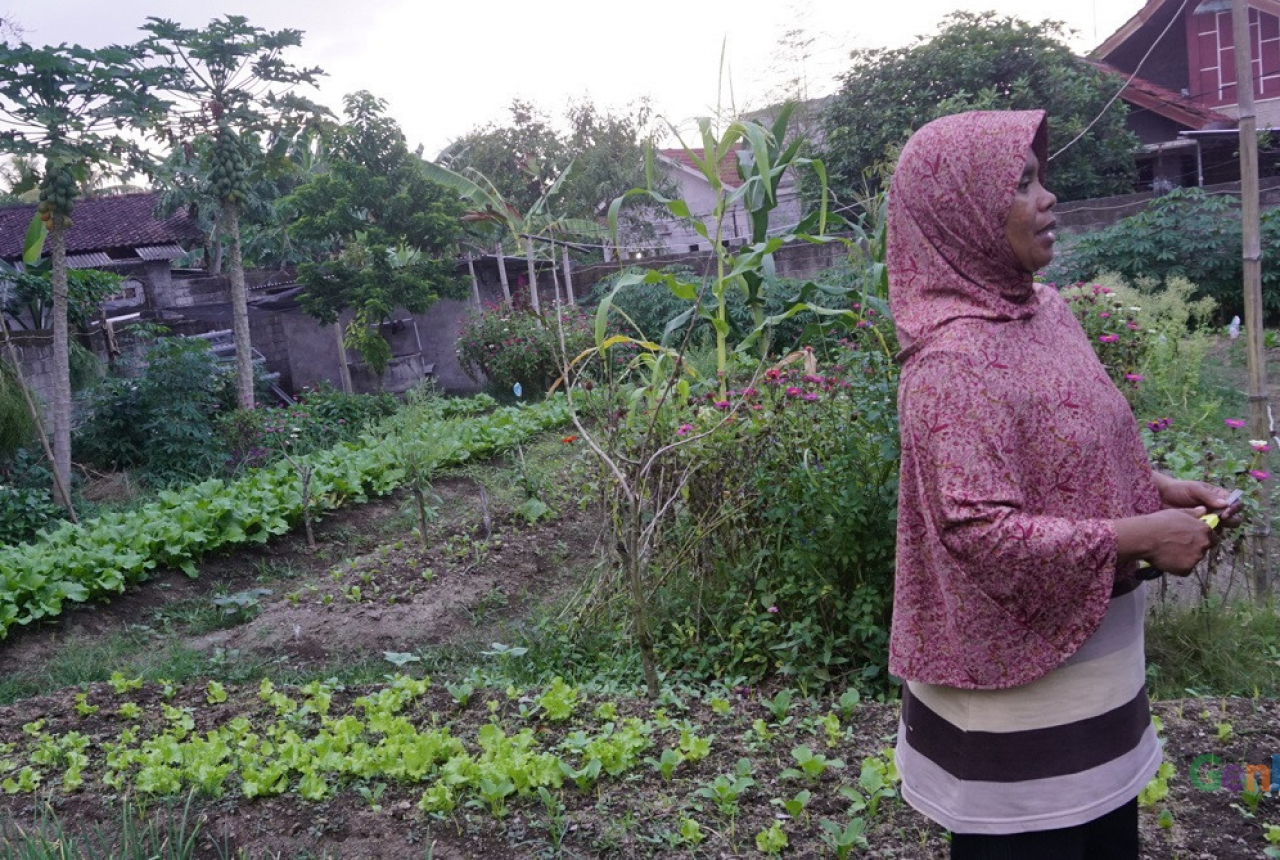 IRT di Loteng Manfaatkan Lahan Kosong Jadi Taman Sayur - GenPI.co NTB