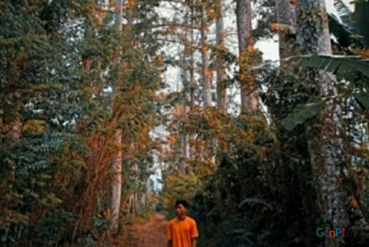 Desa Lantan Lombok Tengah Siapkan Objek Wisata Instagramable - GenPI.co NTB