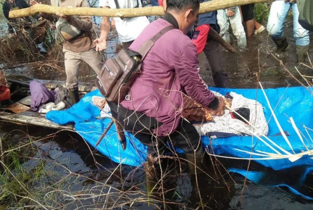 Cari Madu, Warga Bengkalis Meninggal Diterkam Harimau - GenPI.co RIAU