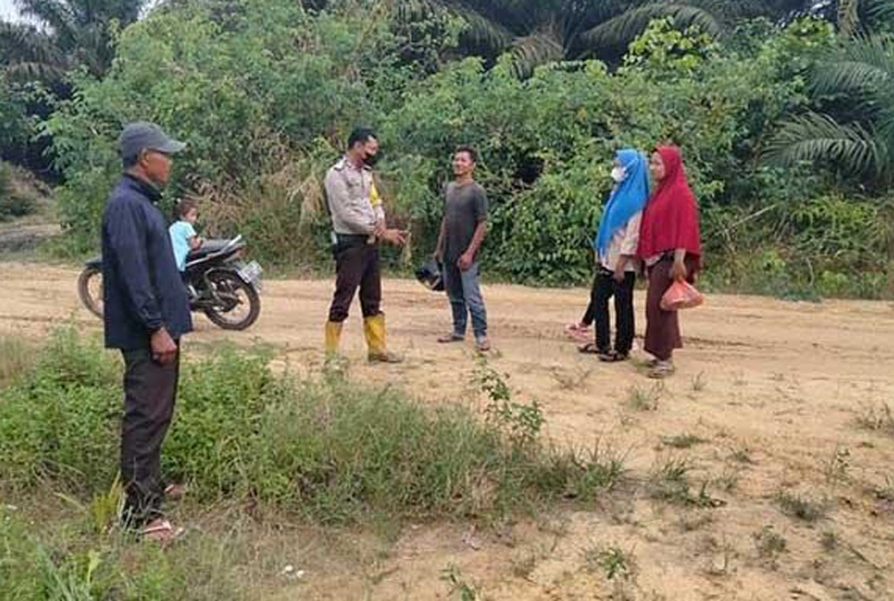 Harimau Pemangsa Manusia Muncul Lagi di Bengkalis - GenPI.co RIAU