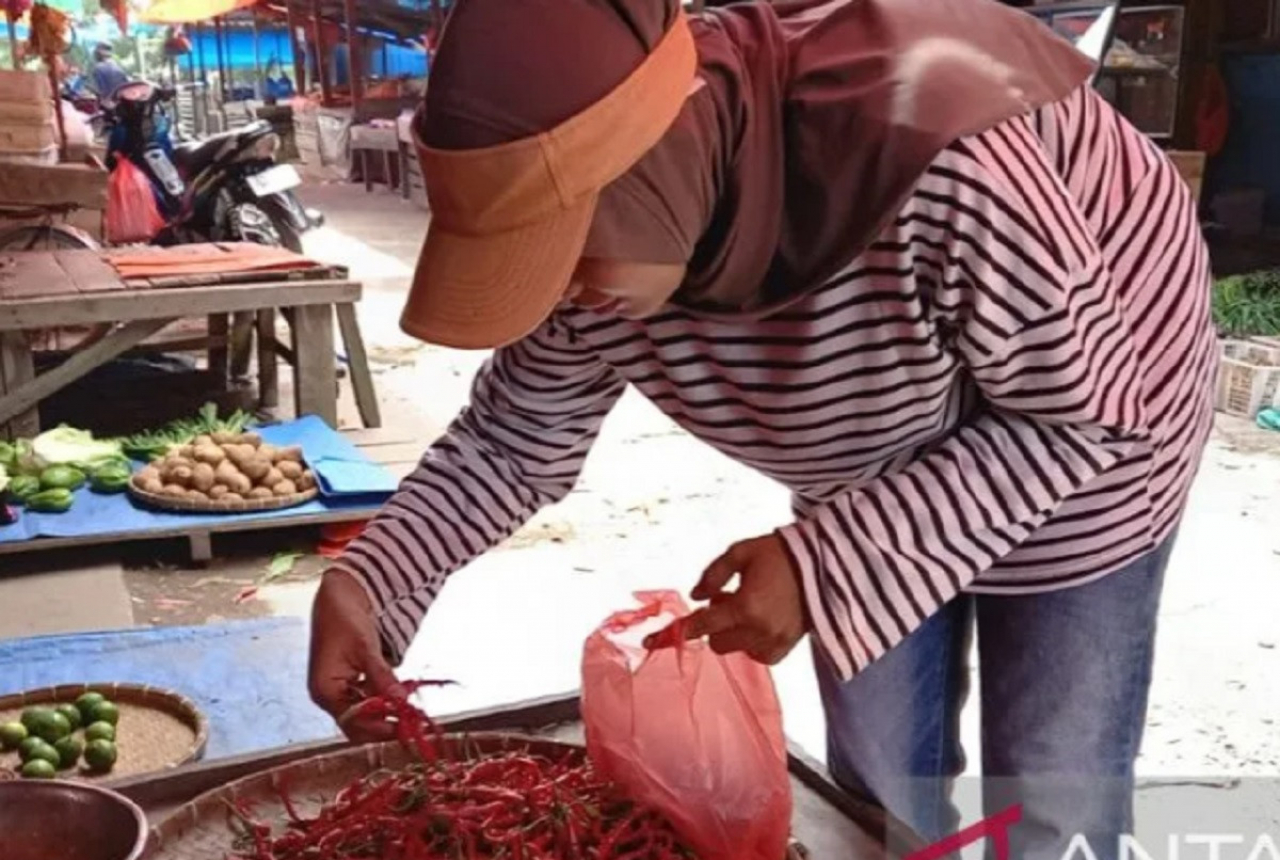 Mahalnya Harga Cabai Merah Picu Inflasi di Riau - GenPI.co RIAU