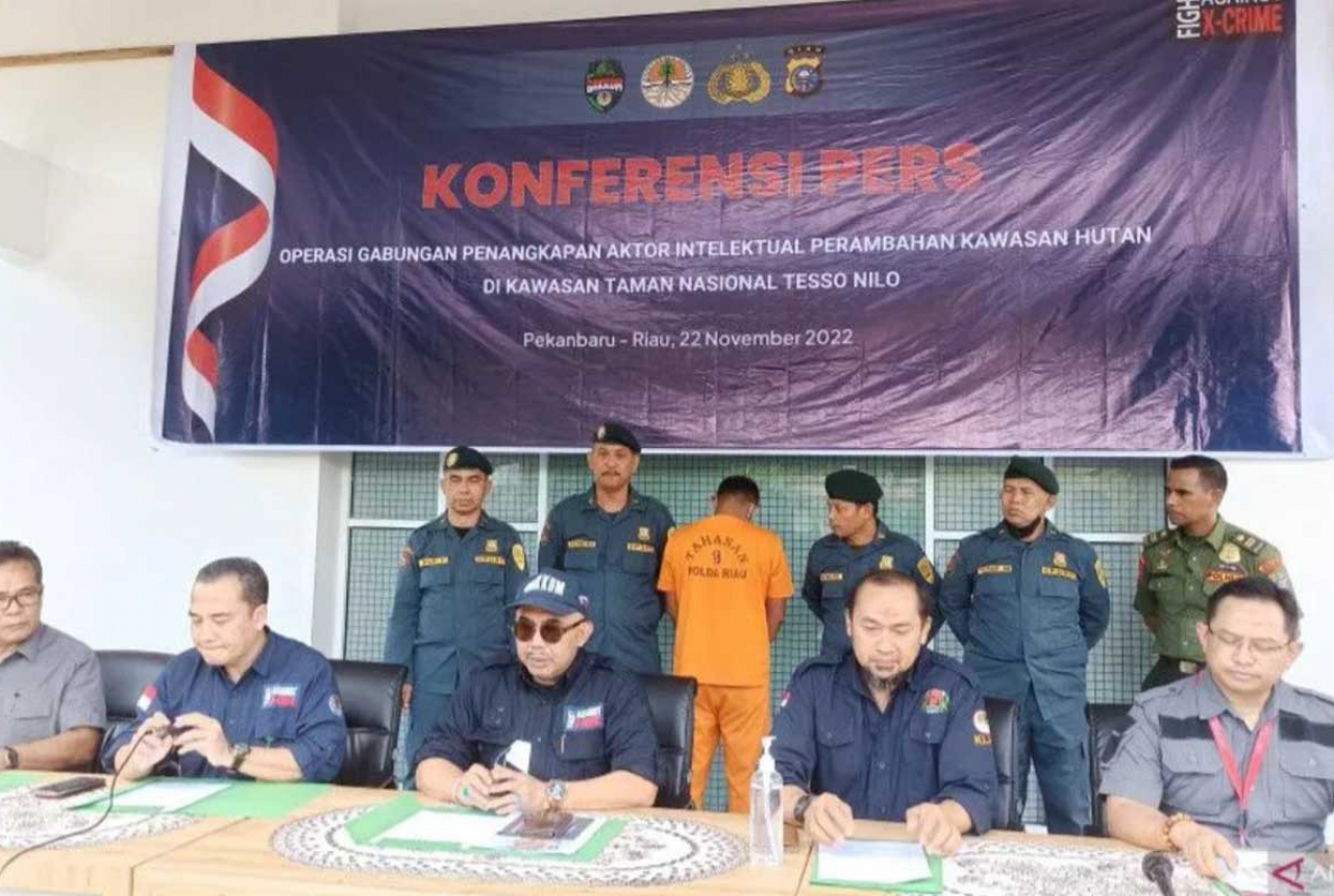 Pemodal Perambah Hutan TNTN Riau Dibekuk Tim Gabungan - GenPI.co RIAU