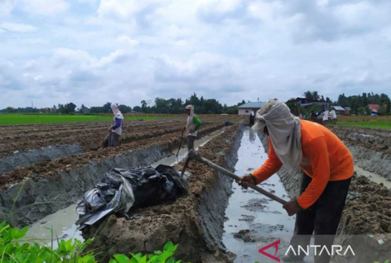 Inflasi di Riau Diperkirakan 6 Persen, Ekonomi Tumbuh Positif - GenPI.co RIAU