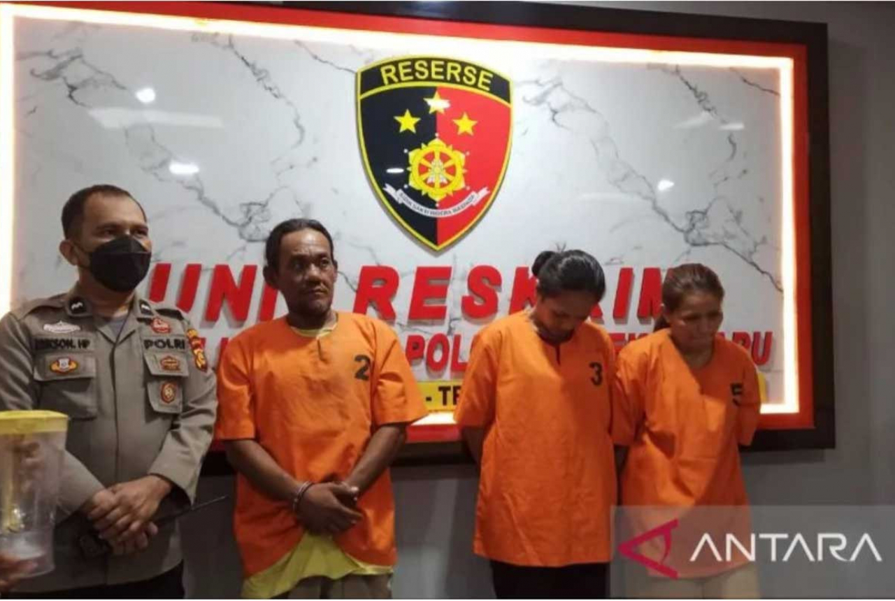 Polisi di Pekanbaru Bekuk Wanita Pengedar Narkoba di Hotel - GenPI.co RIAU
