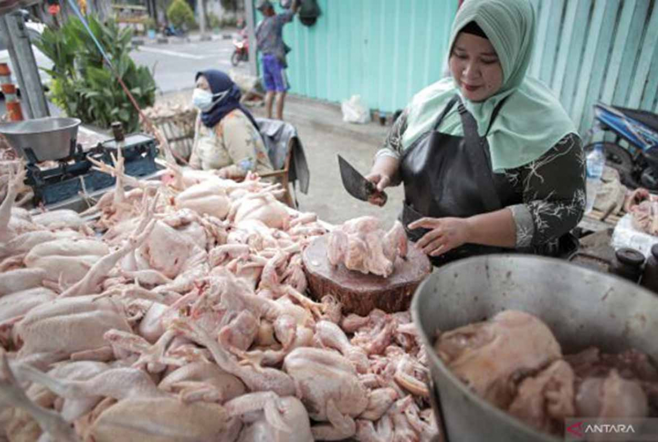 Bahan Pokok di Pasaran Kota Pekanbaru Naik, Ada Cabai dan Ayam - GenPI.co RIAU