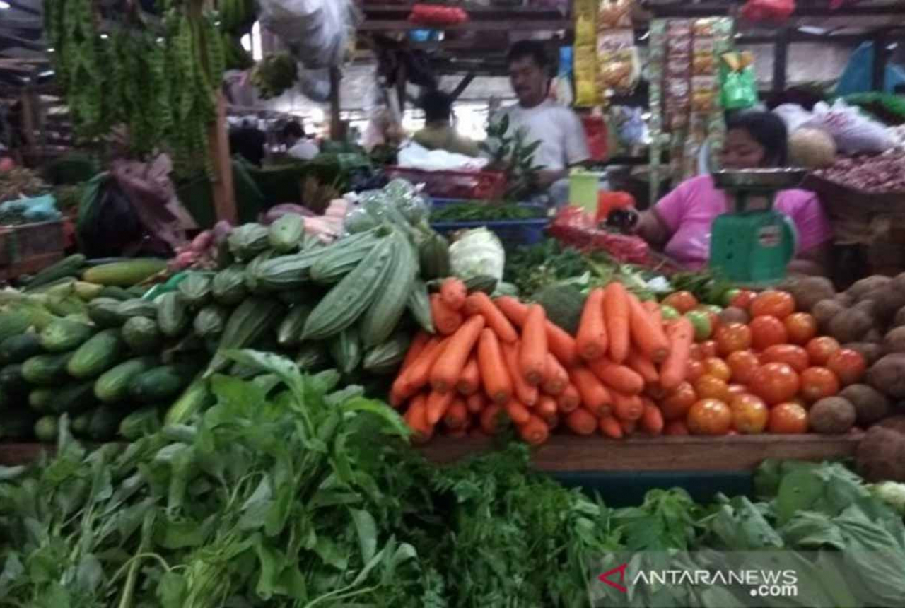 Harga Sayur di Pekanbaru Diprediksi Naik, Bayam Dikhawatirkan Langka - GenPI.co RIAU
