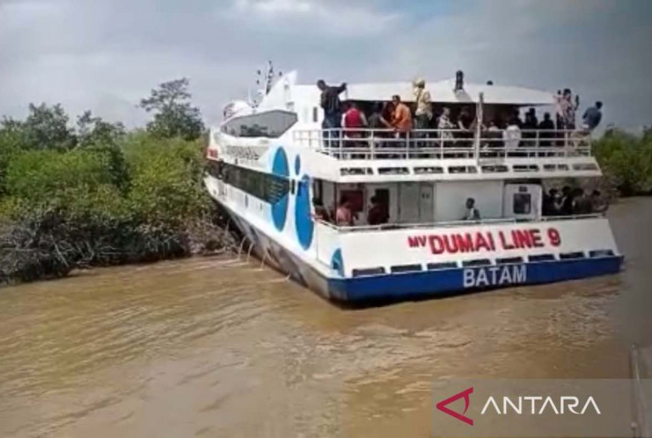 Kapal Ferri Dumai Tabrak Hutan Bakau, Kandas di Perairan Meranti - GenPI.co RIAU