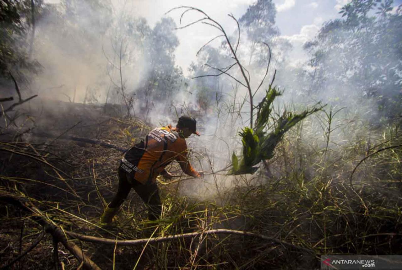 Gubernur Riau Sebut Sudah Ada 15 Titik Panas Terdeteksi - GenPI.co RIAU
