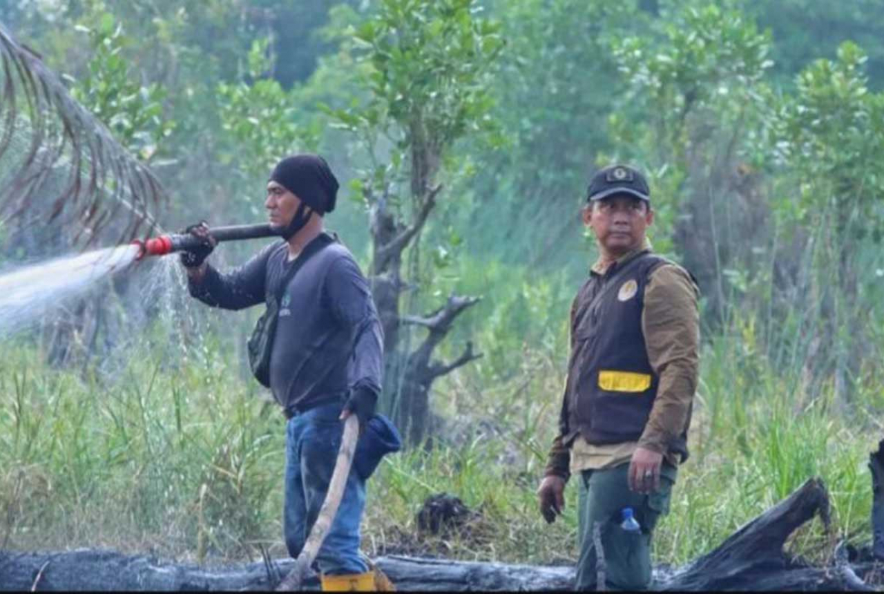BBKSDA Riau Monitoring Karhutla Seluas 10 Hektare di Kawasan Konservasi - GenPI.co RIAU