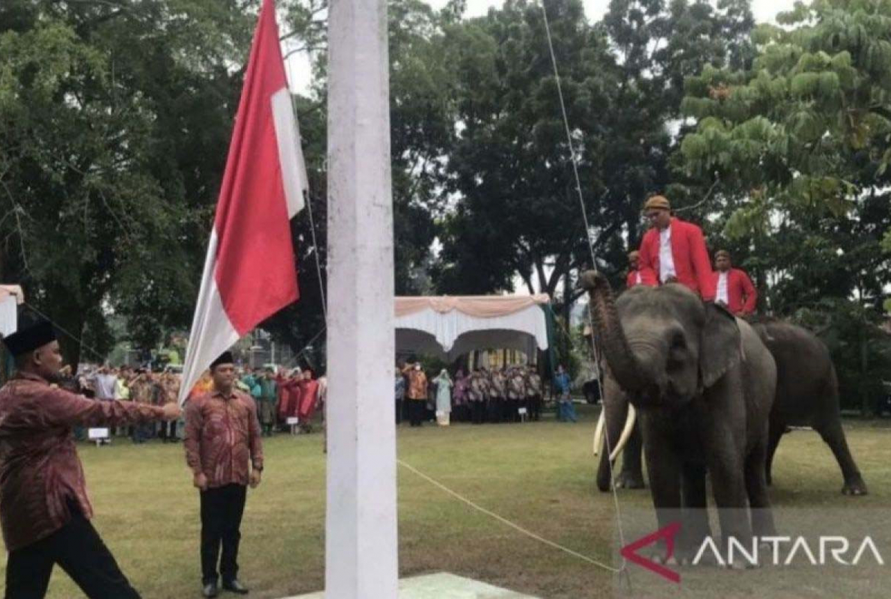 Latihan Setengah Hari, Gajah Sumatera Sukses Bantu Pengibaran Bendera di Riau - GenPI.co RIAU