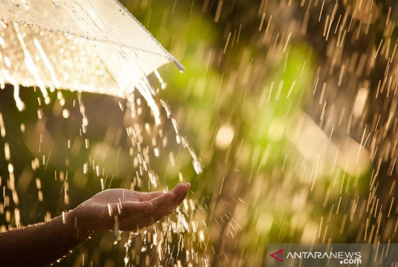 Cuaca Kendari Sekarang, BMKG Isyaratkan Warga Pakai Payung - GenPI.co SULTRA