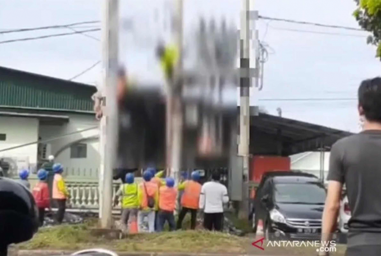 Nyawa Petugas PLN di Kendari Nyaris Melayang, Batang Kayu Jadi Penyelamat - GenPI.co SULTRA