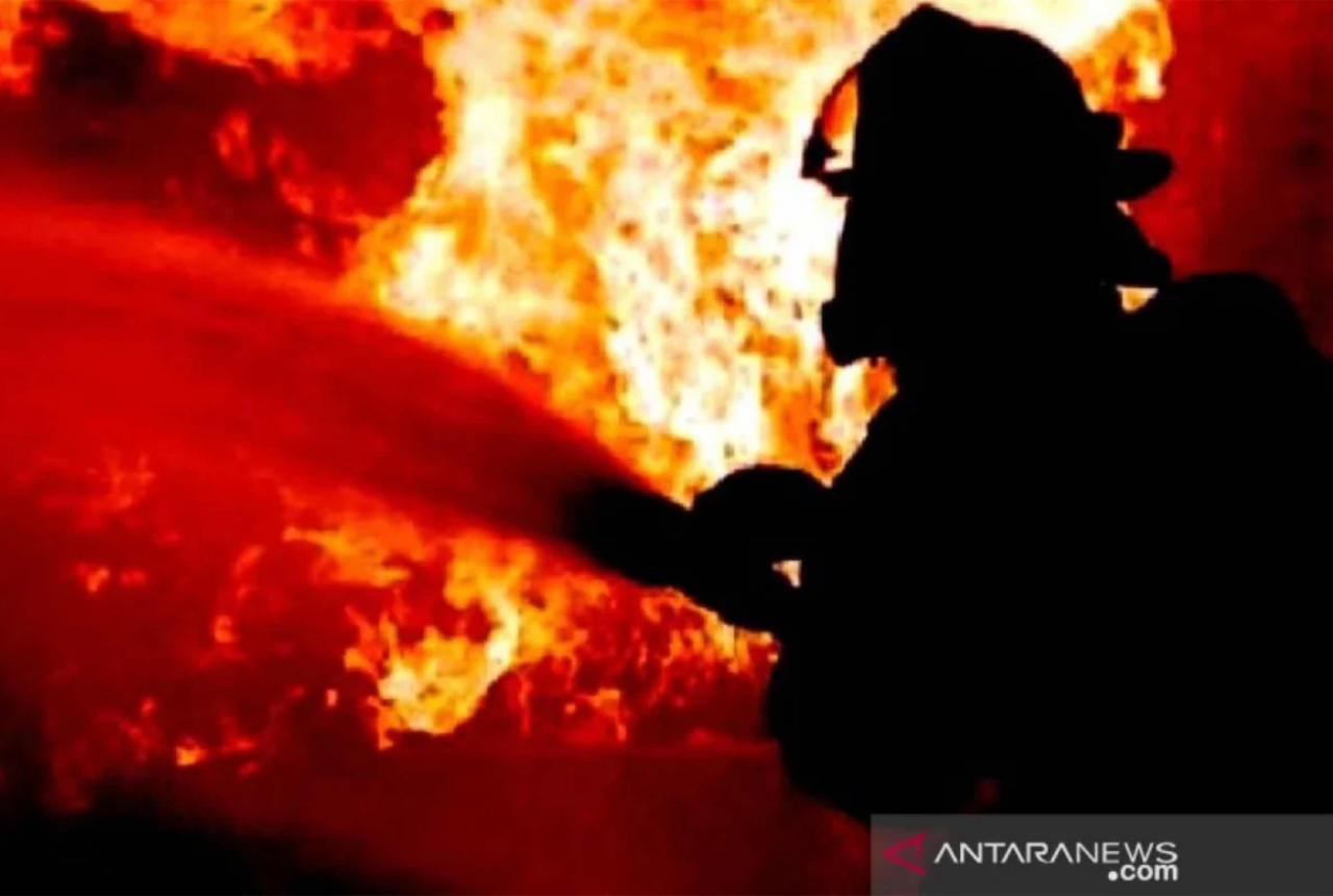 7 Kasus Sehari, Damkar Kota Kendari Padamkan 160 Kebakaran di 2023 - GenPI.co SULTRA