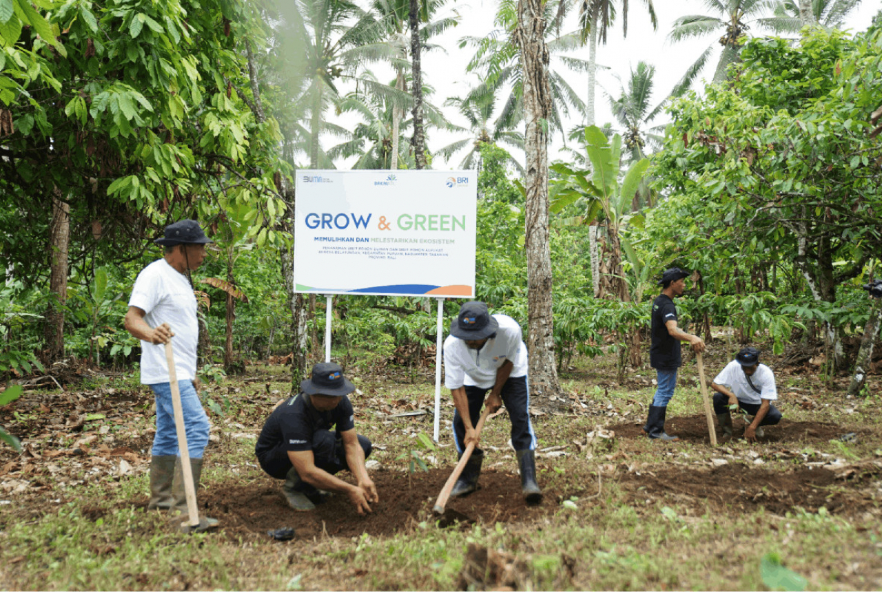 BRI Grow & Green Berdayakan Dua Kelompok Tani di Bali untuk Menanam Tanaman Produktif - GenPI.co SULTRA