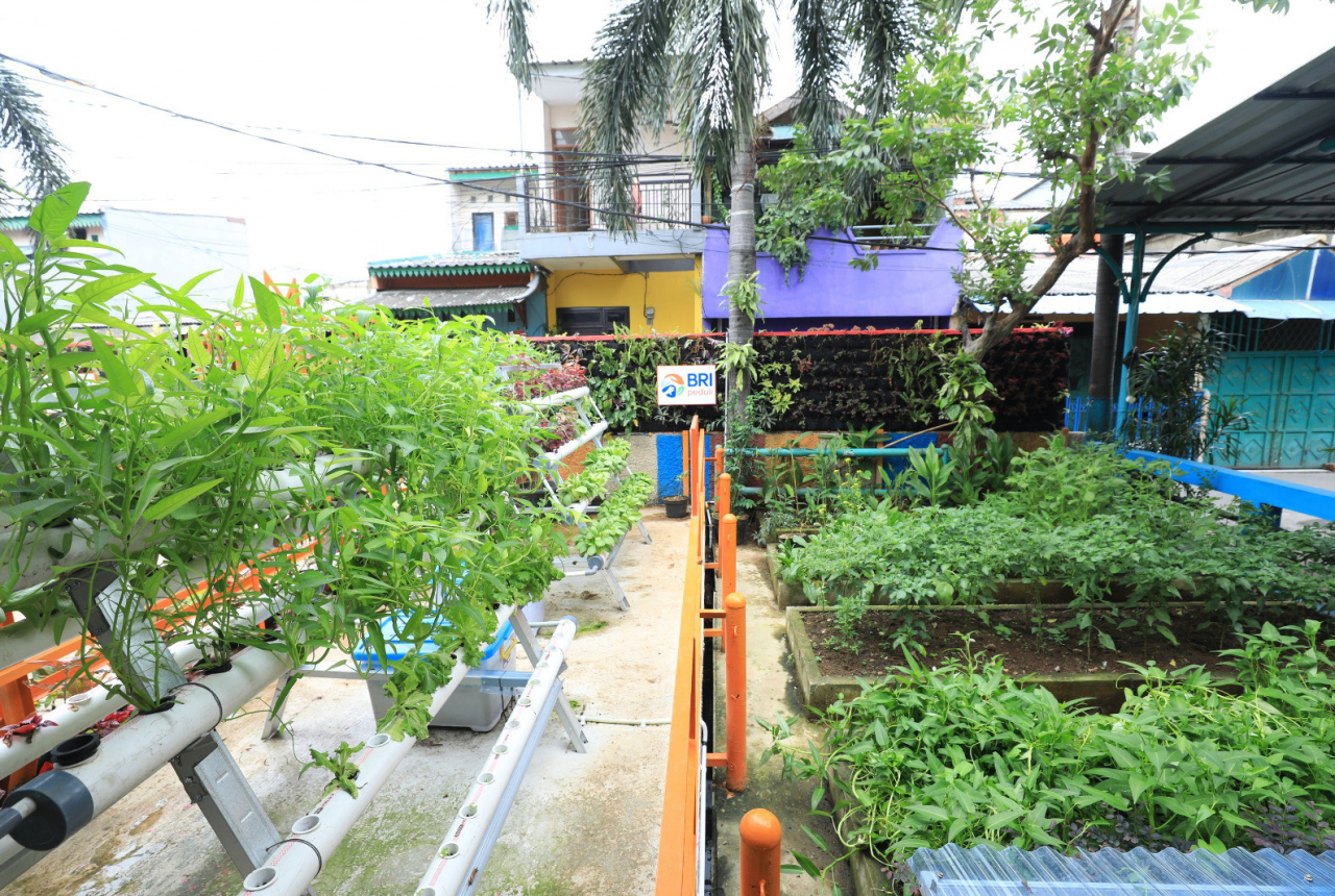 Menjelajahi Kampung Palm Eco Green Village Malang, Makin Asri Berkat Program BRInita - GenPI.co SULTRA