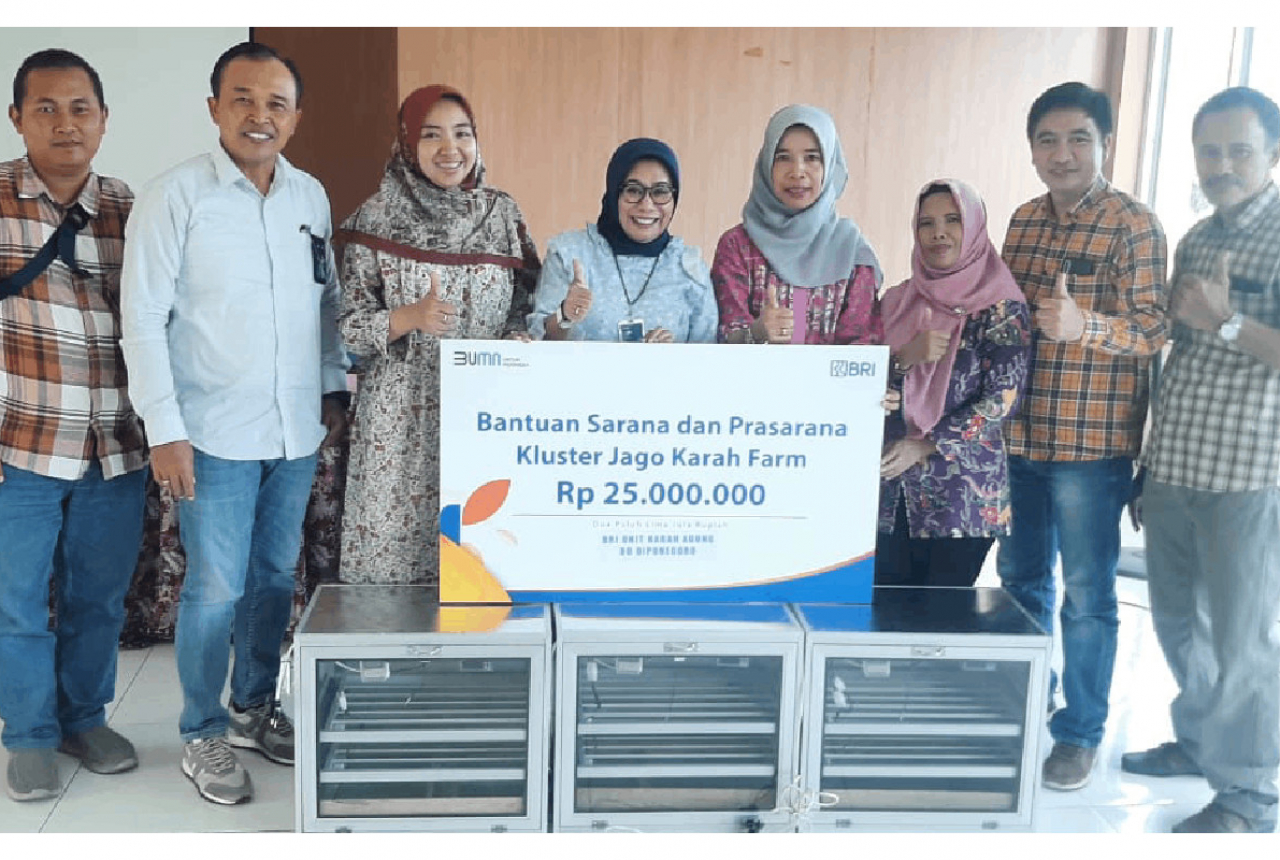Program Pemberdayaan BRI Buat Peternakan Ayam di Surabaya Ini Berkembang - GenPI.co SULTRA