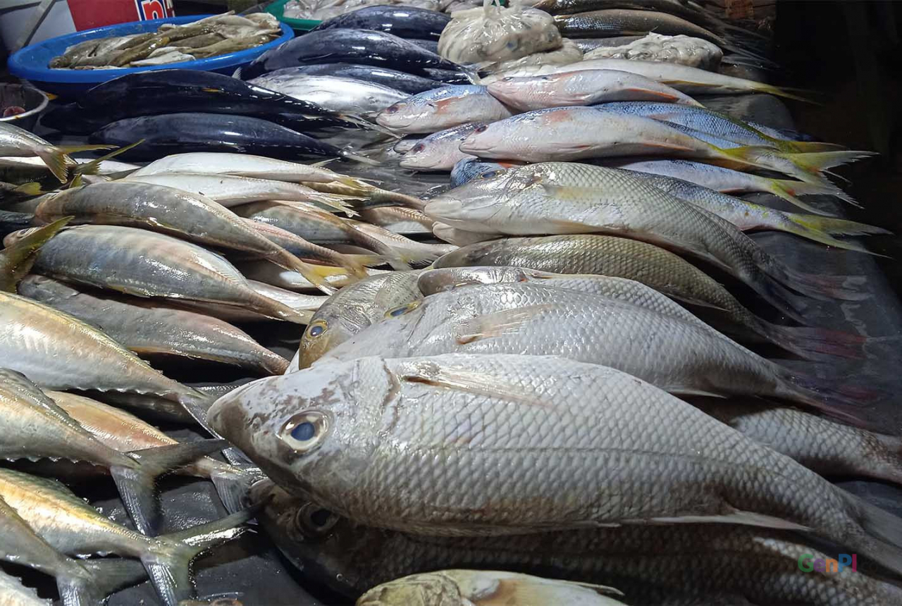 Harga Ikan di Pasar Kendari Jelang Iduladha 2022 - GenPI.co SULTRA
