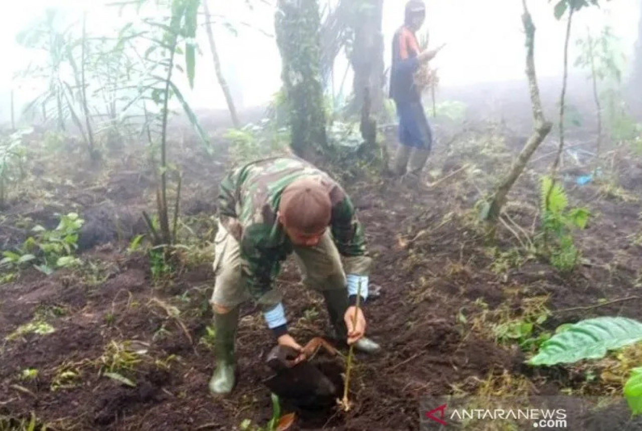 Kapulaga Bikin Pemkab OKU Kesengsem, Ternyata Untung Banyak - GenPI.co SUMSEL