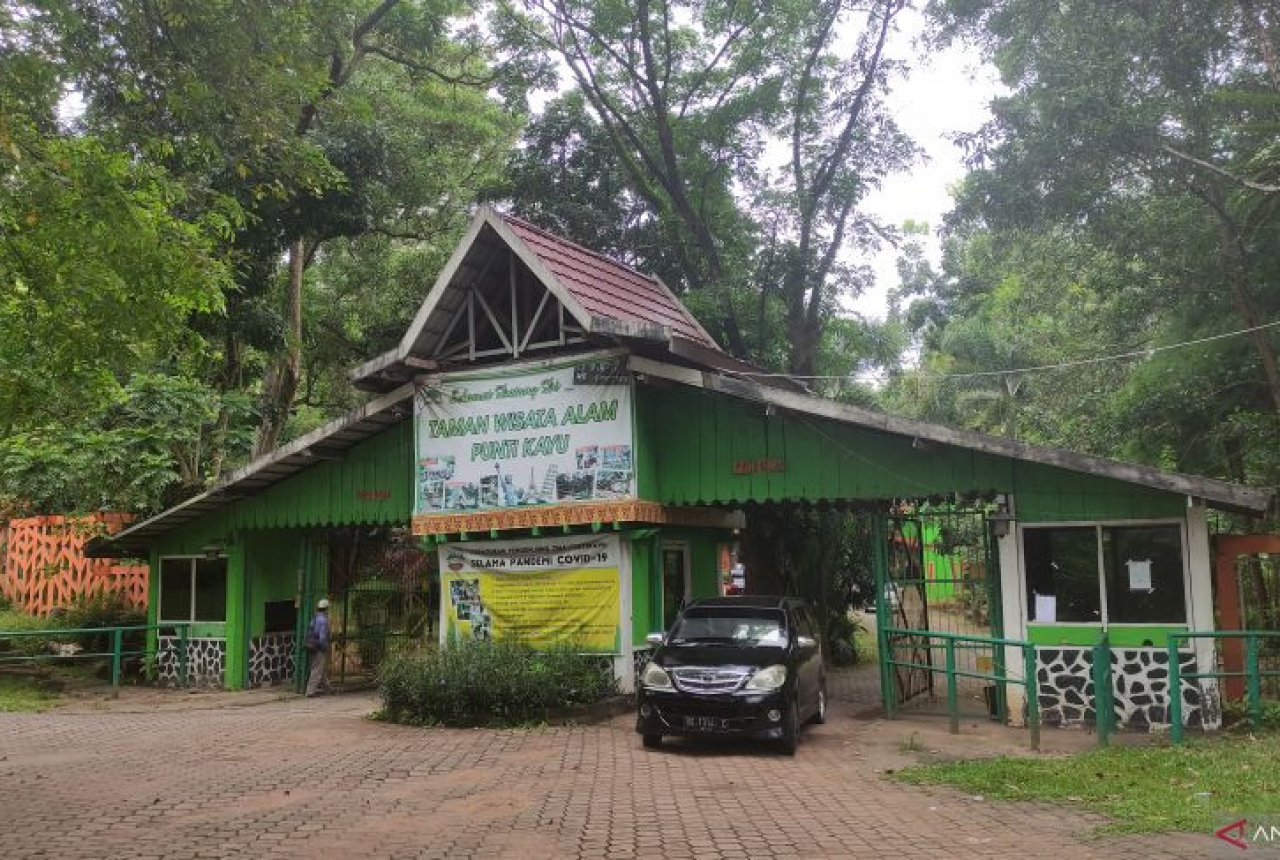 Kunjungan Taman Wisata Punti Kayu Didominasi Pemudik Luar Daerah - GenPI.co SUMSEL