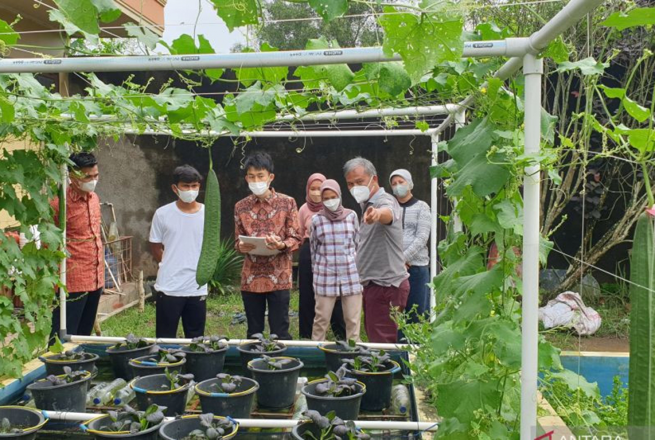 Lokasi Penelitian Urban Farming Unsri Dikunjungi Mahasiswa Jepang - GenPI.co SUMSEL