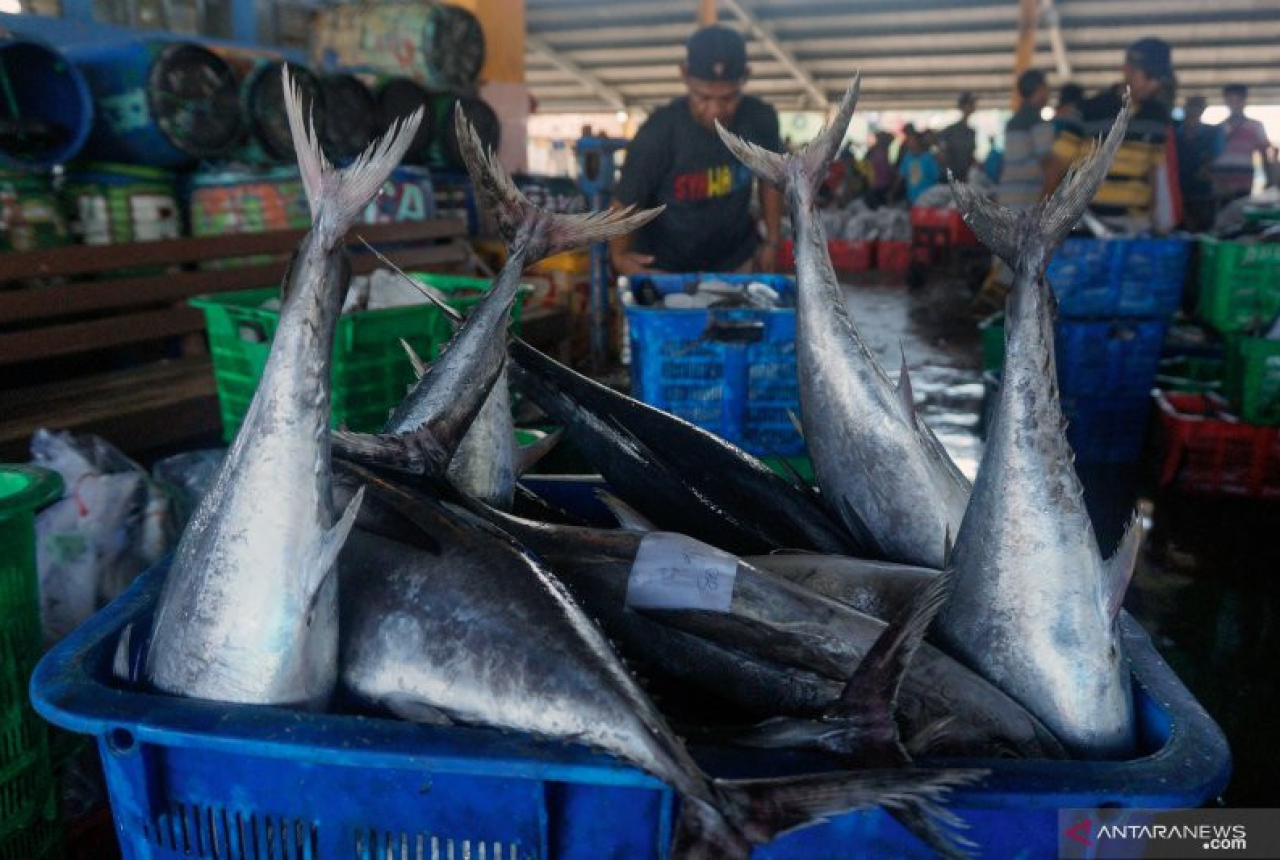 KKP Diminta Transfer Iptek kepada Masyarakat dan Nelayan Sumsel - GenPI.co SUMSEL