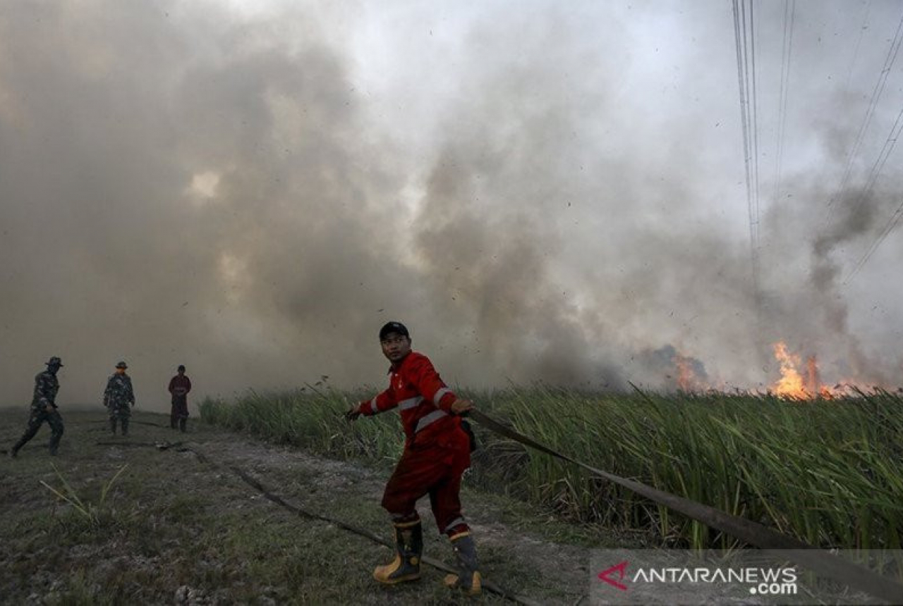 Kabupaten-Kota di Sumsel Diimbau Bentuk Pos Siaga Karhutla - GenPI.co SUMSEL