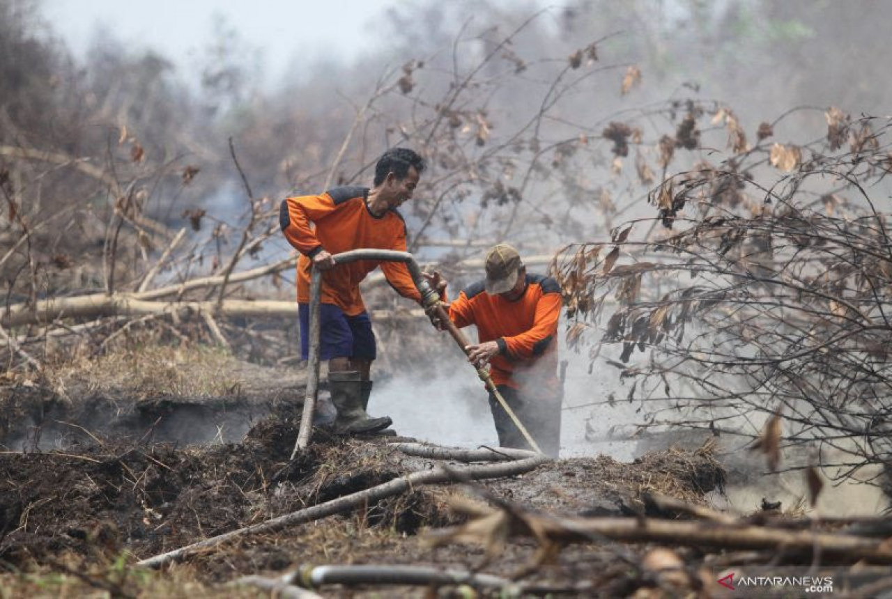 Lembaga Internasional Pilih OKI Jadi Pilot Project Cegah Karhutla - GenPI.co SUMSEL