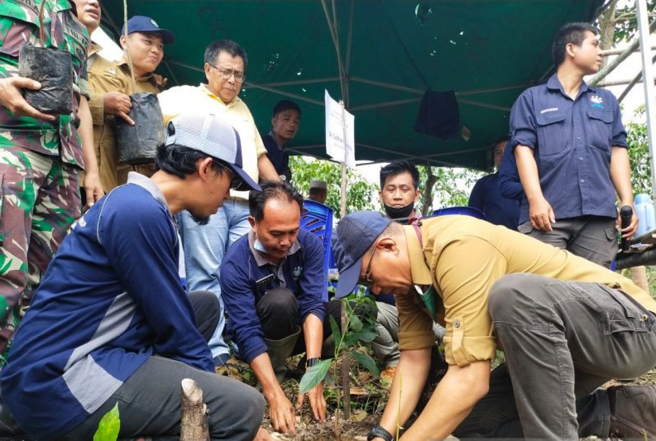 200 Ribu Bibit Pohon Ditanam di 6 Kabupaten Sumatera Selatan - GenPI.co SUMSEL