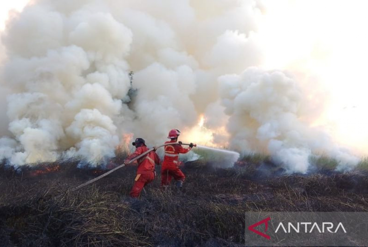 Lahan 9 Hektare di Desa Arisan Jaya Ogan Ilir Terbakar Hebat - GenPI.co SUMSEL