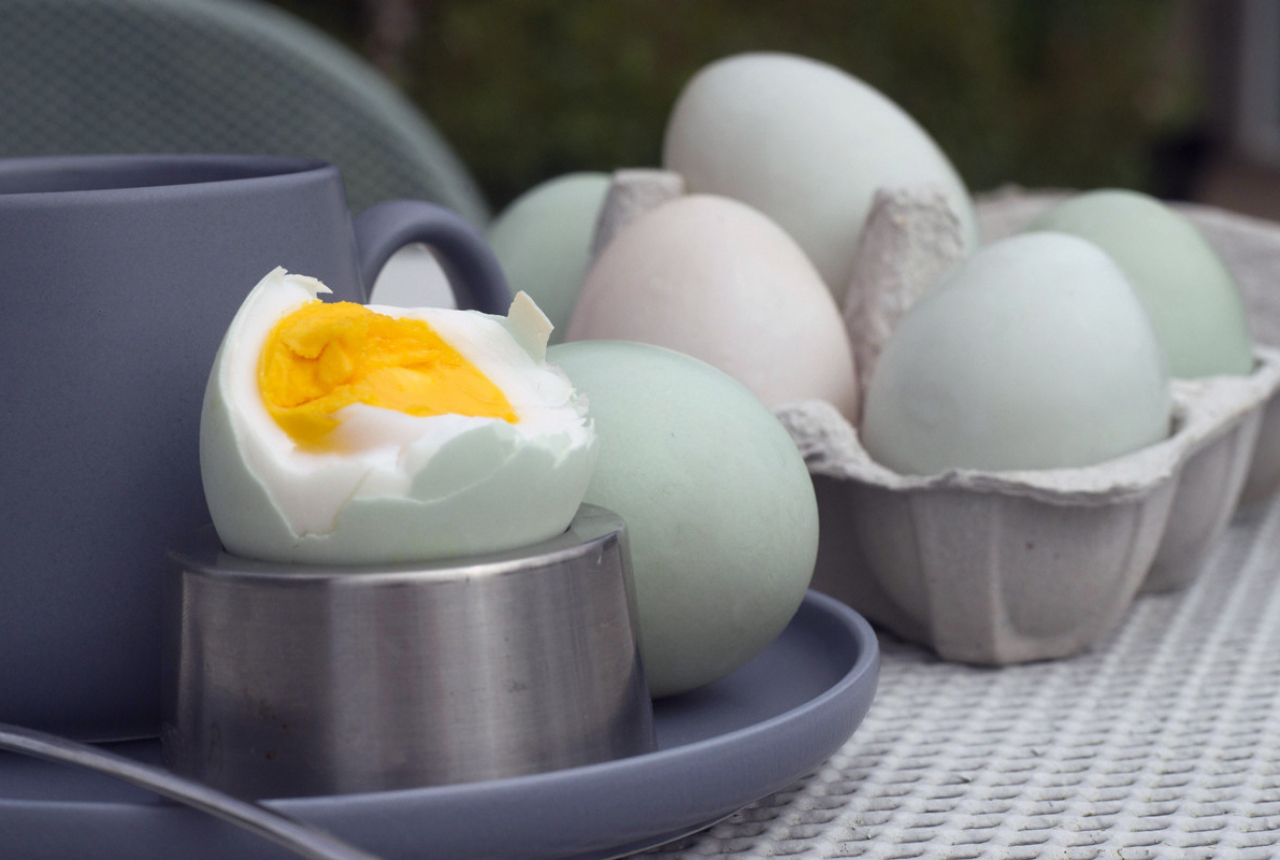 Telur Asin Ternyata Punya 3 Manfaat untuk Kesehatan, Simak Nih - GenPI.co SUMSEL
