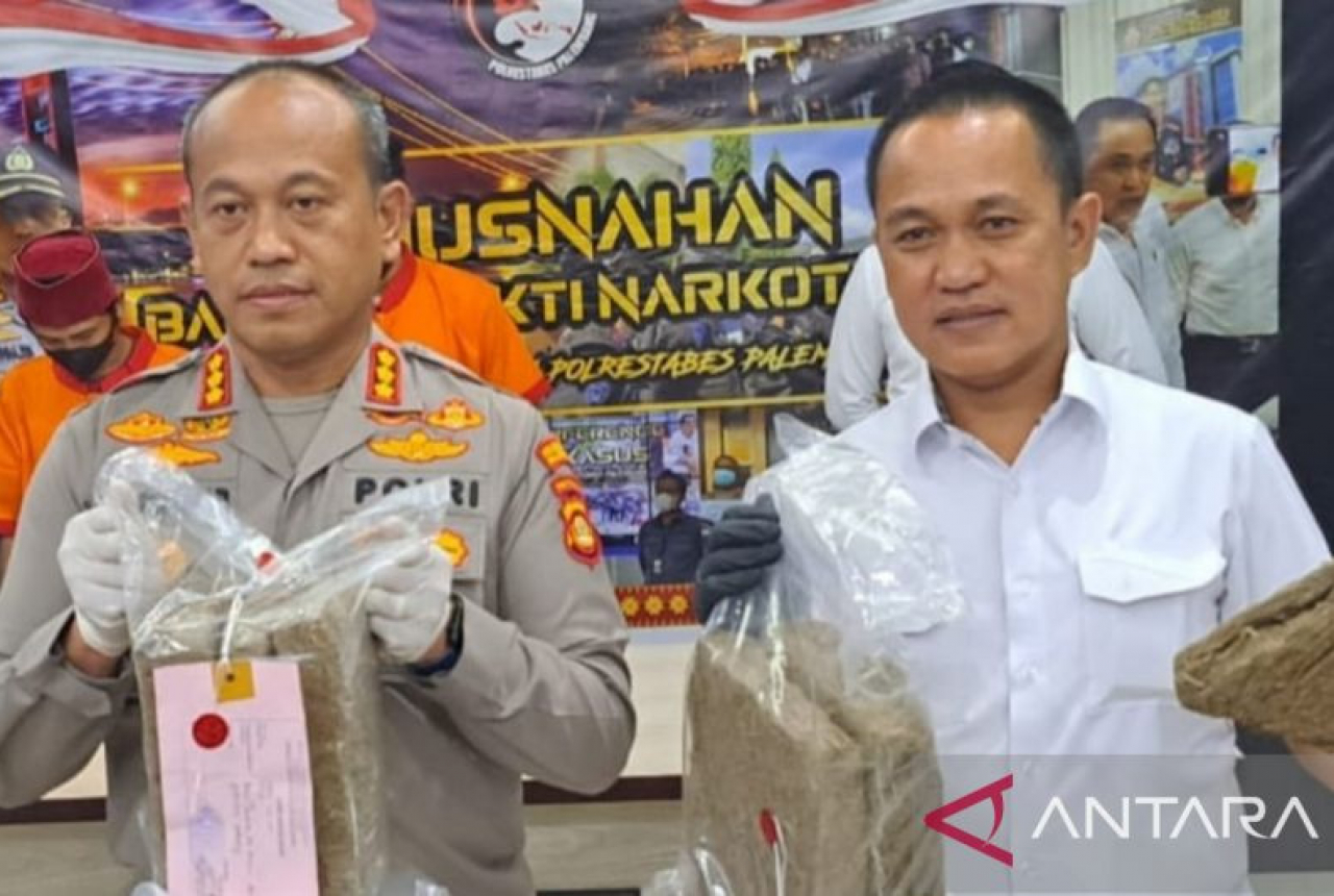 2 Pengedar Ganja Jaringan Maluku Ditangkap Polisi di Palembang - GenPI.co SUMSEL