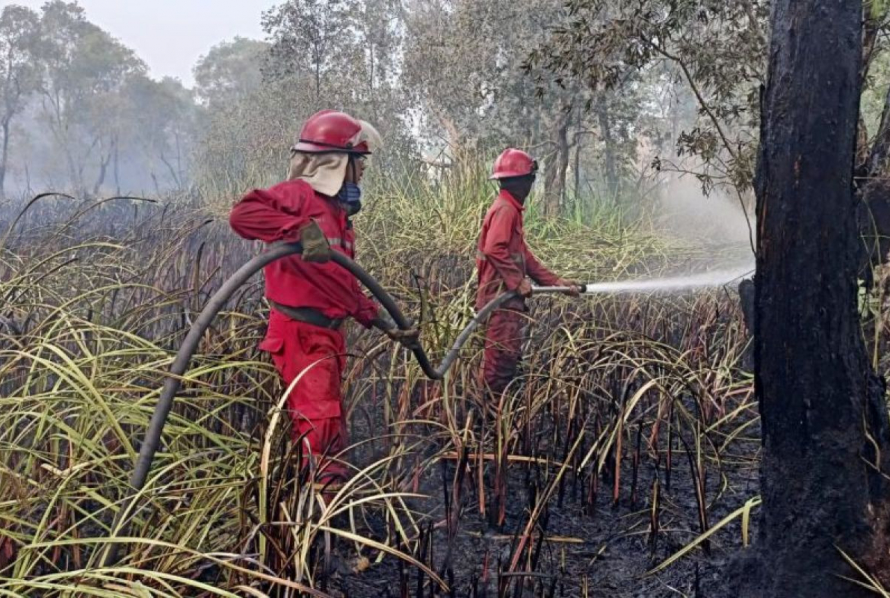 BPBD Sumsel: Karhutla OKI Sebabkan Kabut Asap di Palembang - GenPI.co SUMSEL