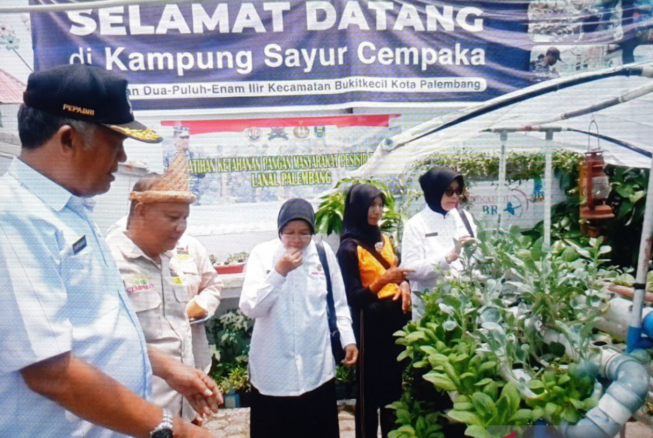 Puluhan Purnawirawan ABRI di Palembang Ikut Pelatihan Hidroponik - GenPI.co SUMSEL