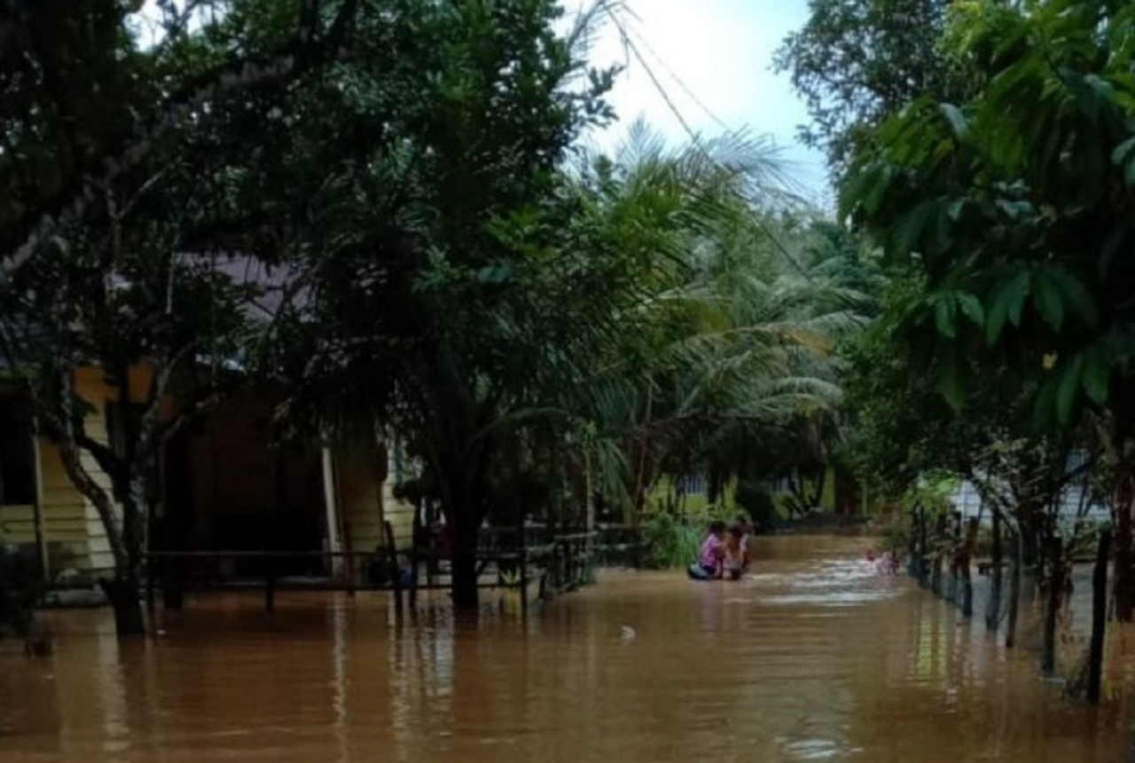 Empat Desa di Langkat Diterjang Banjir, Ratusan Rumah Terendam - GenPI.co SUMUT