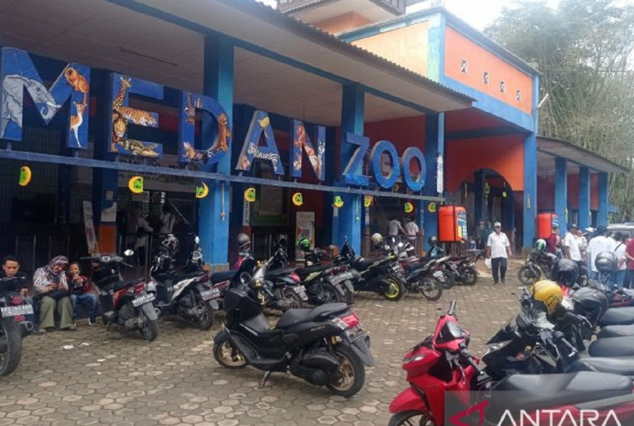 Objek Wisata Medan Zoo Butuh Investor, Kata Pengelola - GenPI.co SUMUT